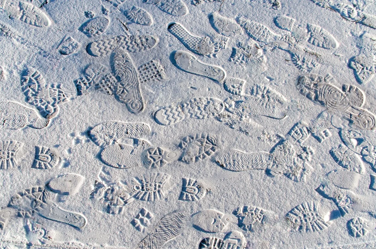 footprints, nature, snow, winter, shoes, season